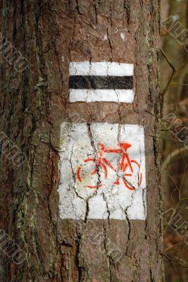 sing on bike road