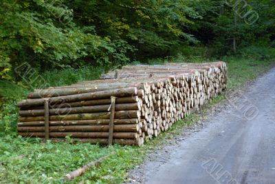 wood piles