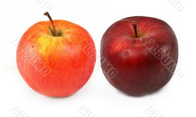 two various red apples