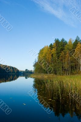 Morning on a quiet forest lake