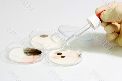 Pipette