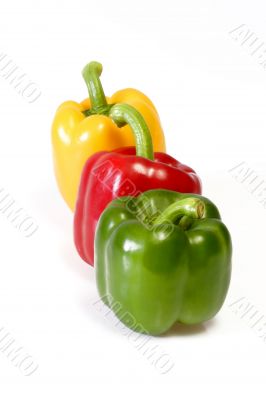 Vegetable
