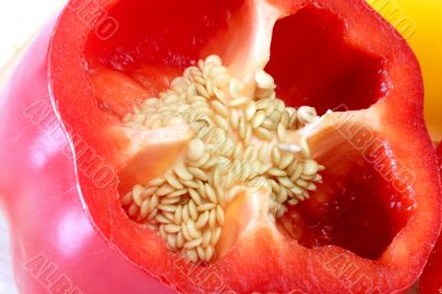 Closeup Pepper