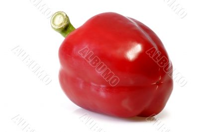 Red Pepper