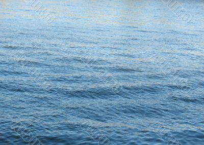 Water