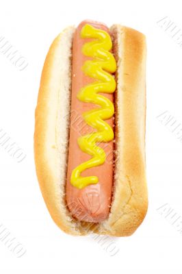 Hot dog with mustard