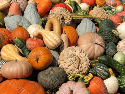 Harvest