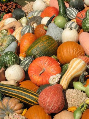 Harvest