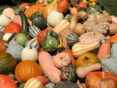 Harvest