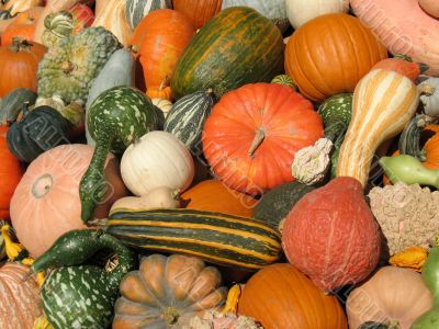 Harvest