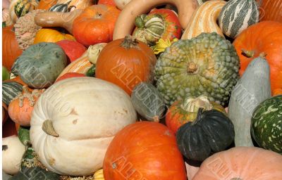 Harvest