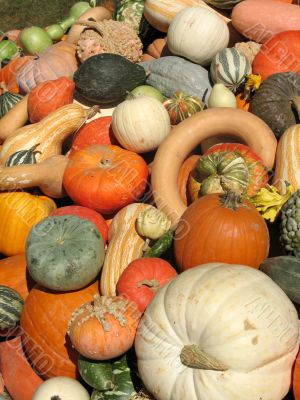 Harvest