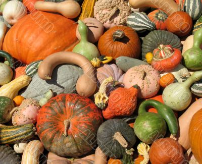 Harvest