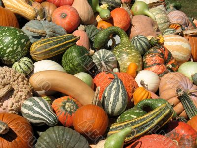 Harvest