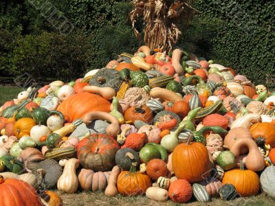 Harvest