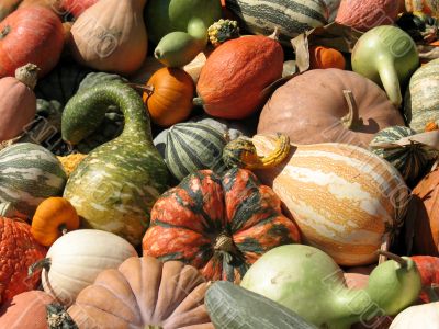 Harvest