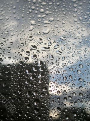 raindrops on the window