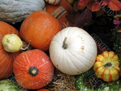 Harvest