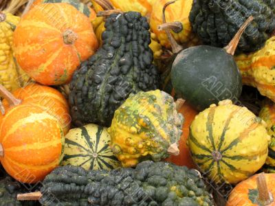 Harvest