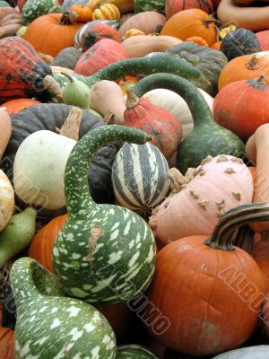 Harvest
