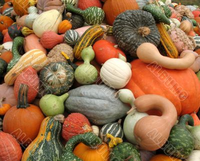 Harvest