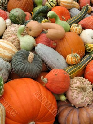 Harvest