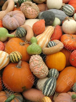 Harvest