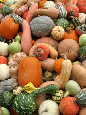 Harvest