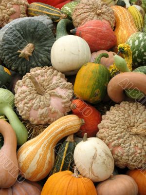 Harvest