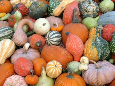 Harvest