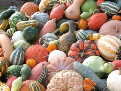 Harvest