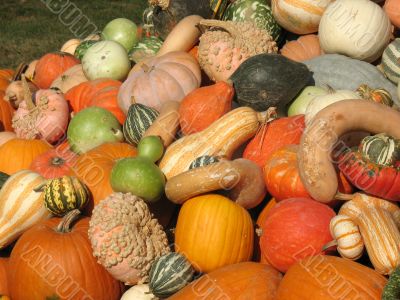 Harvest
