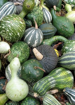 Harvest