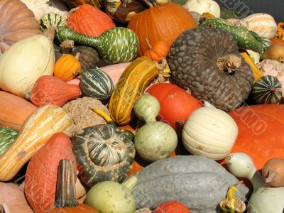 Harvest