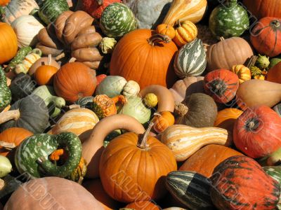 Harvest