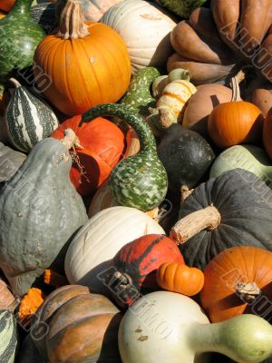 Harvest