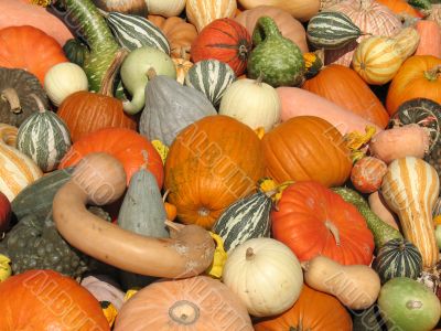 Harvest