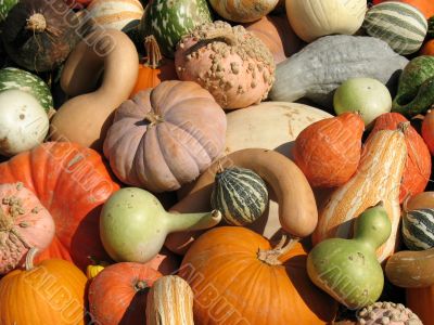Harvest