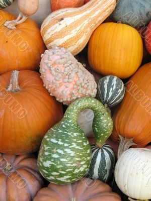 Harvest