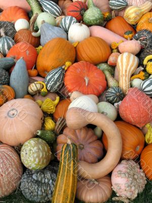 Harvest