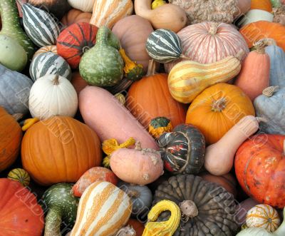 Harvest
