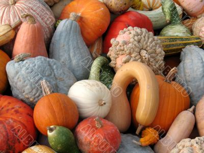 Harvest