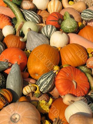 Harvest
