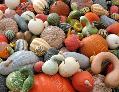 Harvest