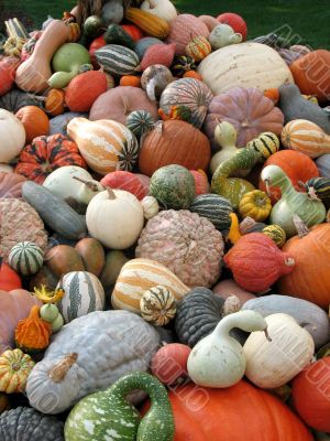 Harvest
