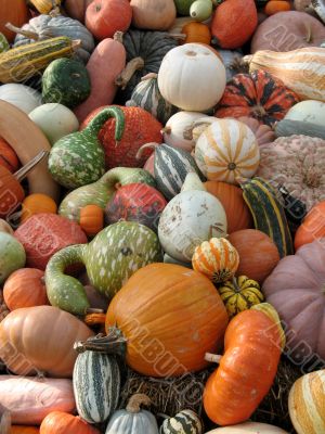 Harvest