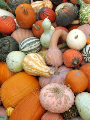 Harvest