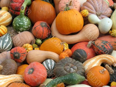 Harvest