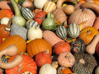 Harvest
