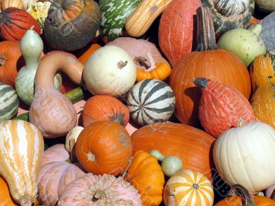 Harvest